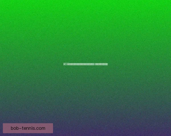 BOB体育平台带你领略全球体育赛事精彩瞬间 提供全方位投注体验