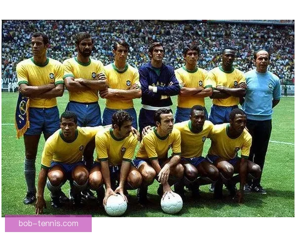 世界杯竞猜赔率平台分析与预测，助你赢得更多精彩投注机会