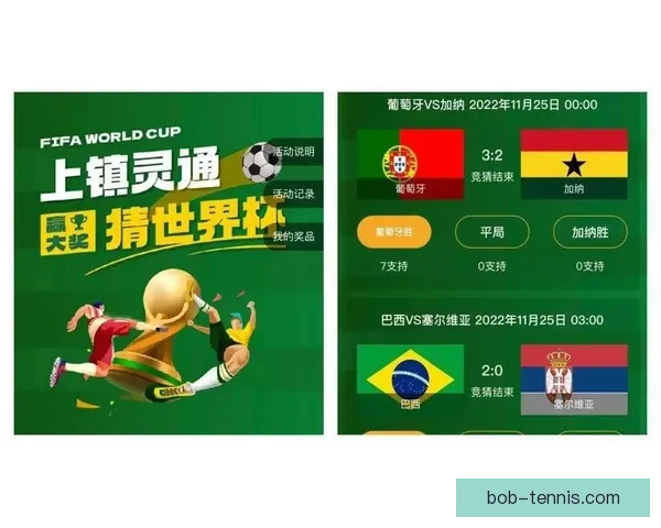 世界杯竞猜网站推荐与投注技巧分析助你精准预测赛事结果